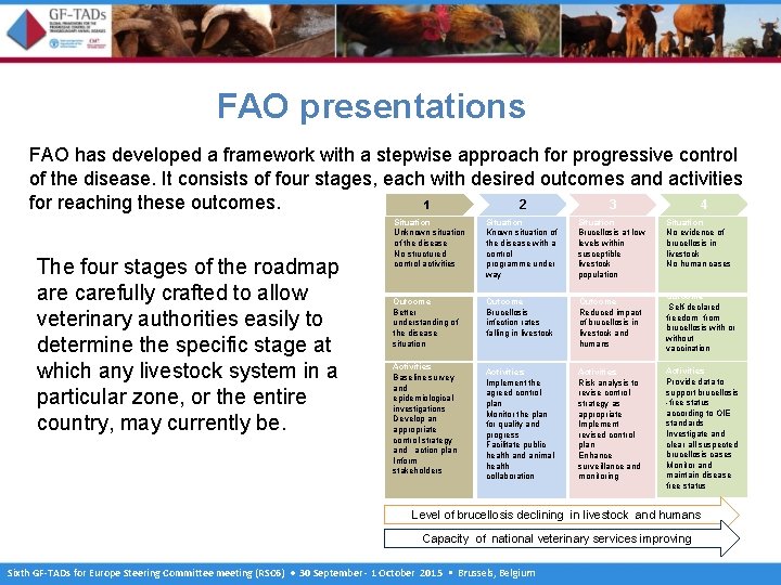FAO presentations FAO has developed a framework with a stepwise approach for progressive control