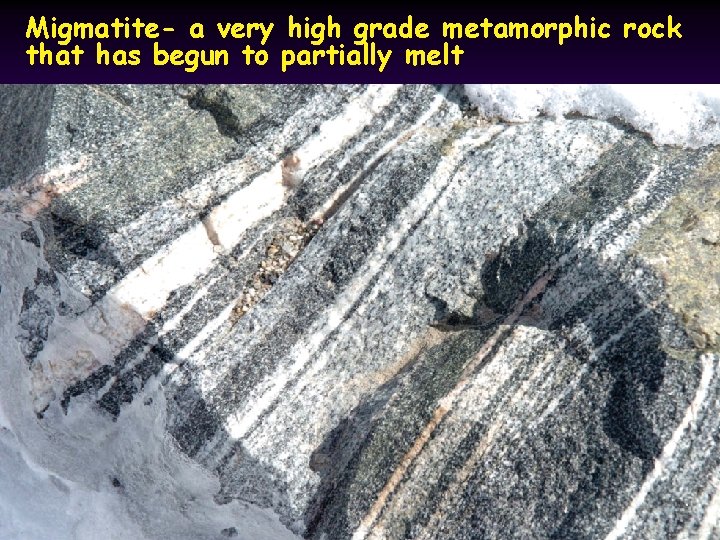 Migmatite- a very high grade metamorphic rock that has begun to partially melt 