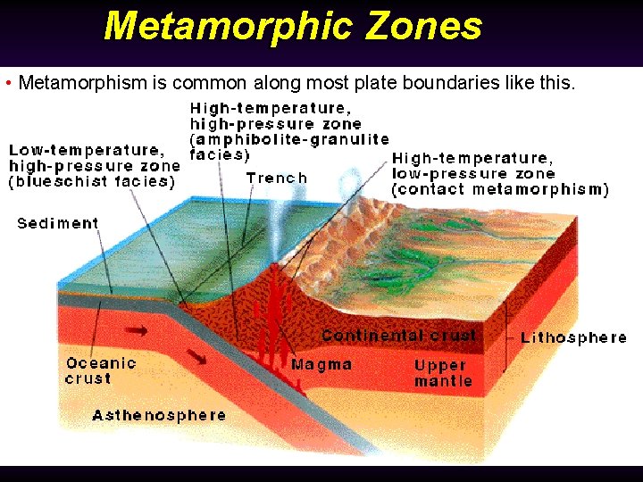 Metamorphic Zones • Metamorphism is common along most plate boundaries like this. 