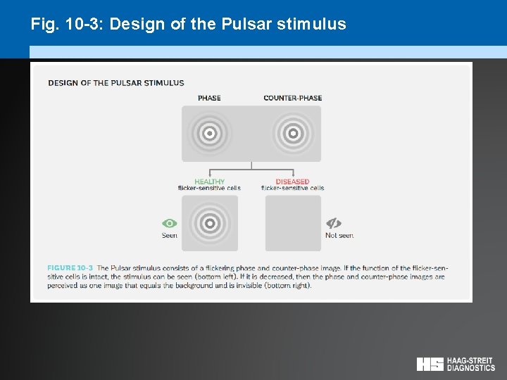 Fig. 10 -3: Design of the Pulsar stimulus 
