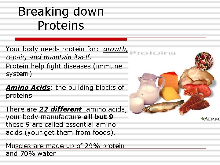 Breaking down Proteins Your body needs protein for: growth, repair, and maintain itself. Protein Breaking down Proteins Your body needs protein for: growth, repair, and maintain itself. Protein