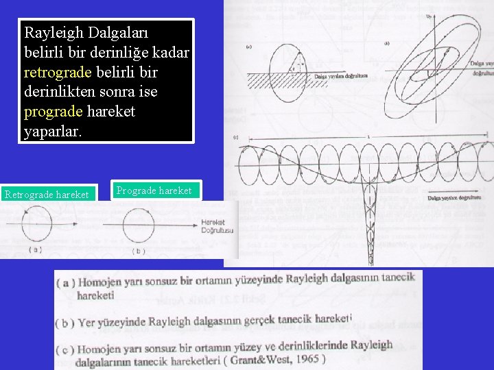 Rayleigh Dalgaları belirli bir derinliğe kadar retrograde belirli bir derinlikten sonra ise prograde hareket