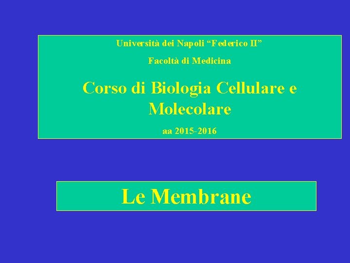 Università dei Napoli “Federico II” Facoltà di Medicina Corso di Biologia Cellulare e Molecolare