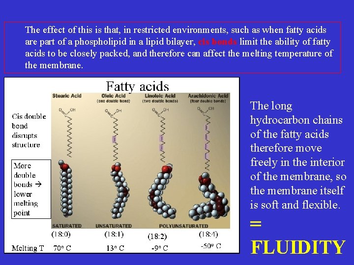 The effect of this is that, in restricted environments, such as when fatty acids