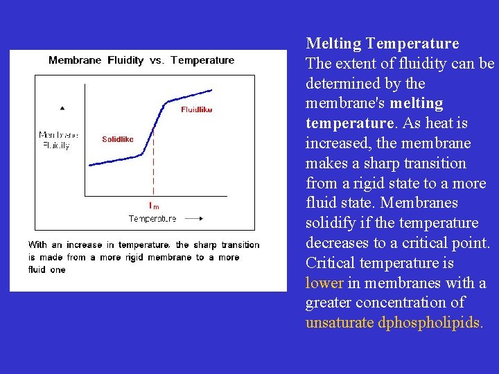 Melting Temperature The extent of fluidity can be determined by the membrane's melting temperature.