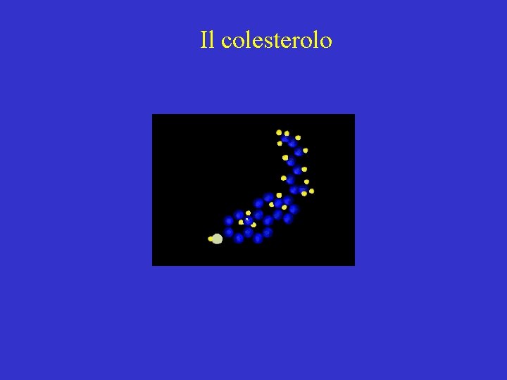 Il colesterolo 