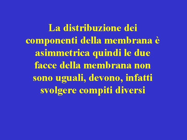 La distribuzione dei componenti della membrana è asimmetrica quindi le due facce della membrana