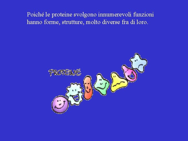 Poiché le proteine svolgono innumerevoli funzioni hanno forme, strutture, molto diverse fra di loro.