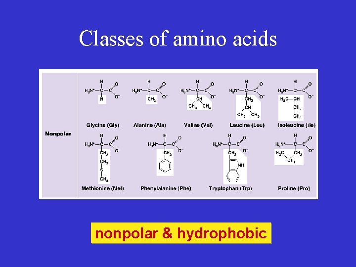 Classes of amino acids nonpolar & hydrophobic 