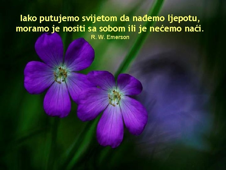 Iako putujemo svijetom da nađemo ljepotu, moramo je nositi sa sobom ili je nećemo