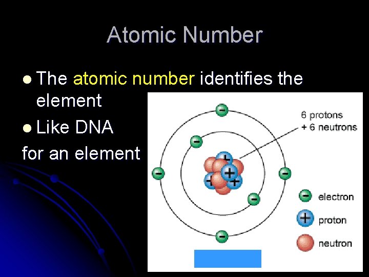 Atomic Number l The atomic number identifies the element l Like DNA for an