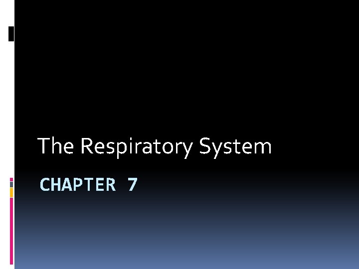 The Respiratory System CHAPTER 7 