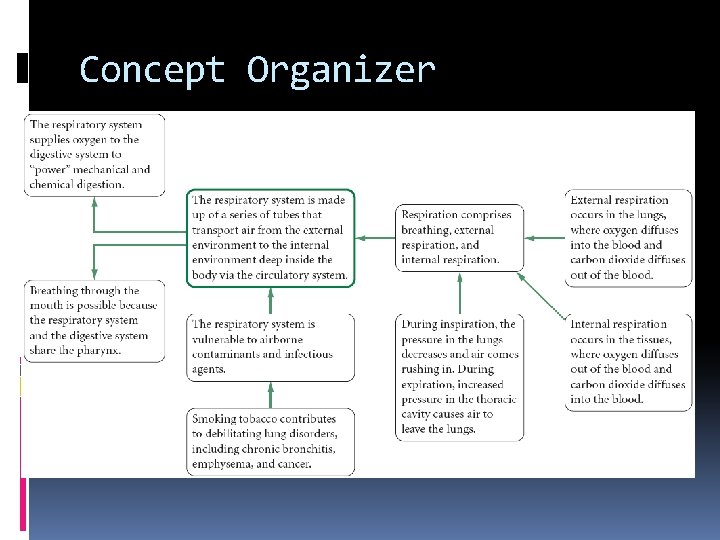 Concept Organizer 