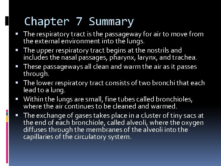 Chapter 7 Summary The respiratory tract is the passageway for air to move from