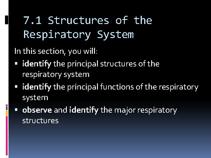 7. 1 Structures of the Respiratory System In this section, you will: identify the