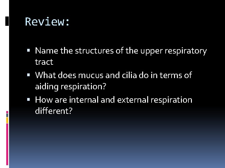 Review: Name the structures of the upper respiratory tract What does mucus and cilia