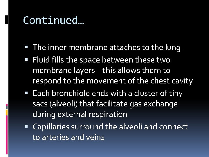 Continued… The inner membrane attaches to the lung. Fluid fills the space between these Continued… The inner membrane attaches to the lung. Fluid fills the space between these