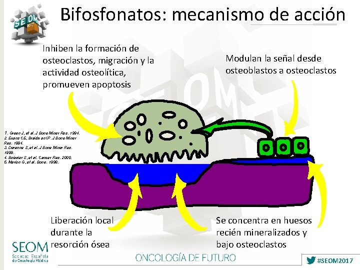 Bifosfonatos: mecanismo de acción Inhiben la formación de osteoclastos, migración y la actividad osteolítica,