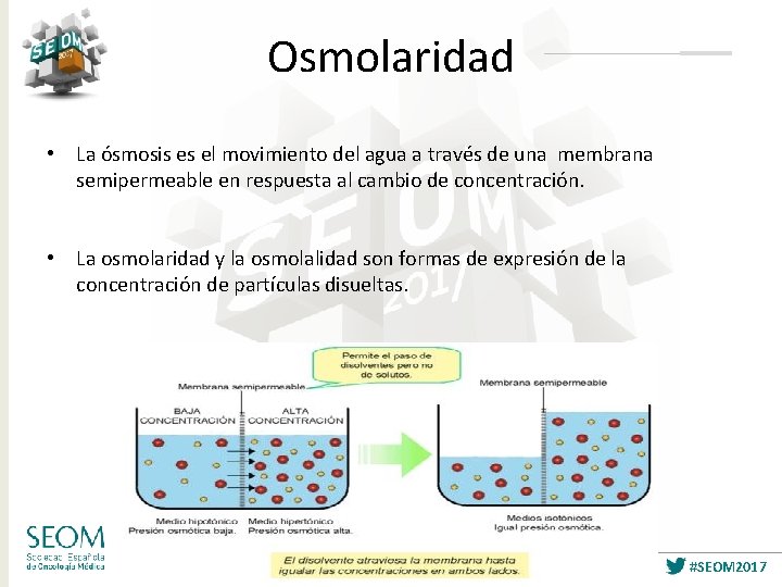 Osmolaridad • La ósmosis es el movimiento del agua a través de una membrana