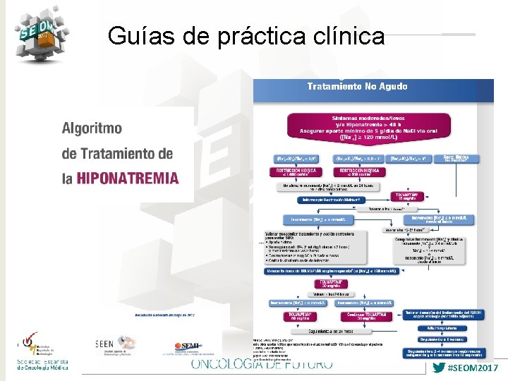 Guías de práctica clínica #SEOM 2017 