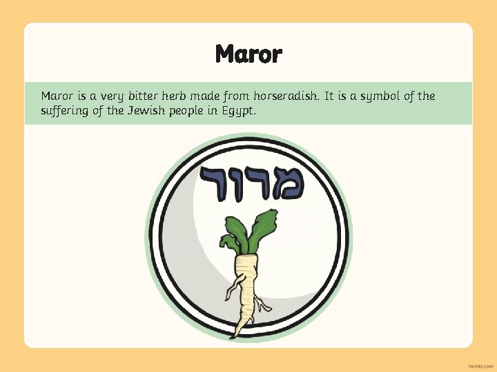 Maror is a very bitter herb made from horseradish. It is a symbol of Maror is a very bitter herb made from horseradish. It is a symbol of