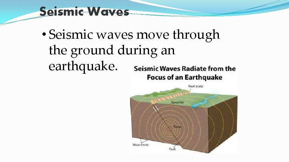 Seismic Waves • Seismic waves move through the ground during an earthquake. 