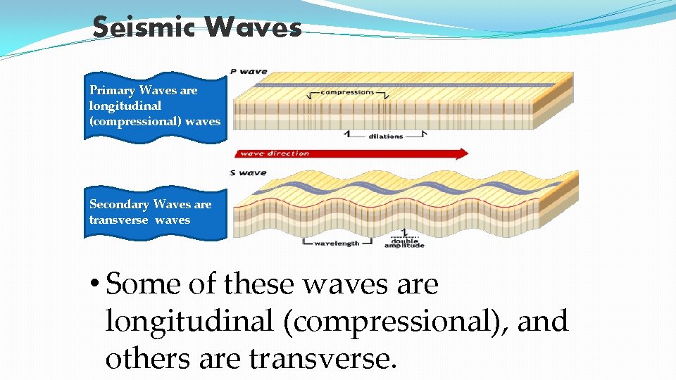 Seismic Waves Primary Waves are longitudinal (compressional) waves Secondary Waves are transverse waves •