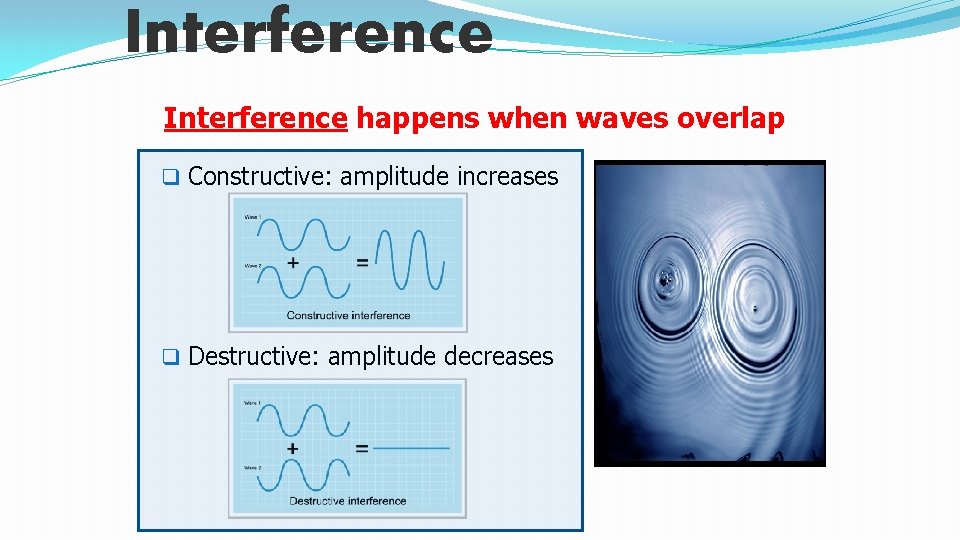 Interference happens when waves overlap q Constructive: amplitude increases q Destructive: amplitude decreases 