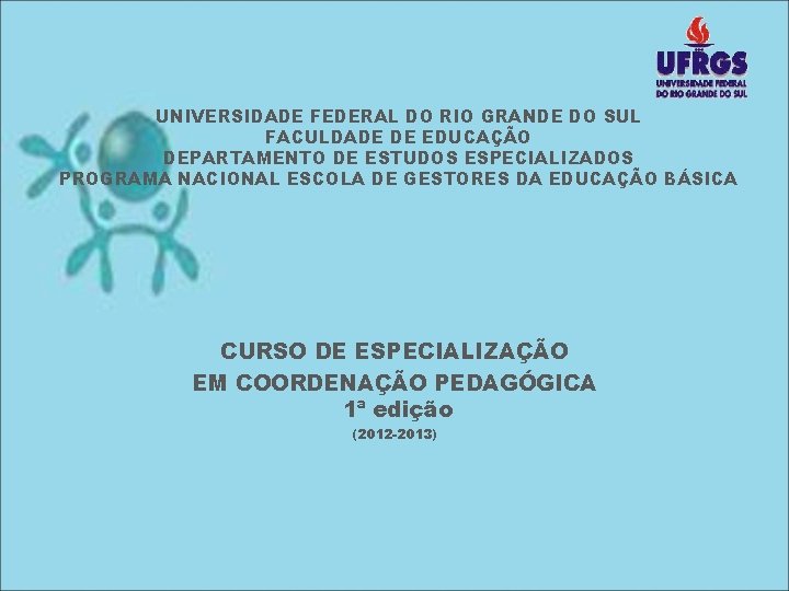 UNIVERSIDADE FEDERAL DO RIO GRANDE DO SUL FACULDADE DE EDUCAÇÃO DEPARTAMENTO DE ESTUDOS ESPECIALIZADOS