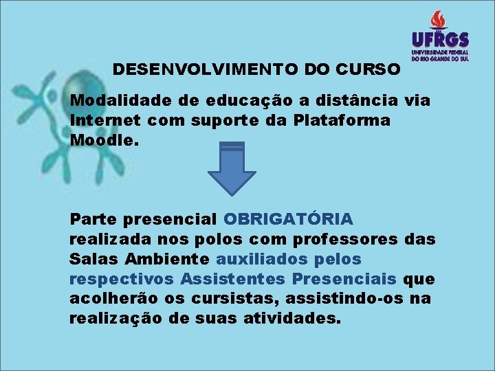 DESENVOLVIMENTO DO CURSO Modalidade de educação a distância via Internet com suporte da Plataforma