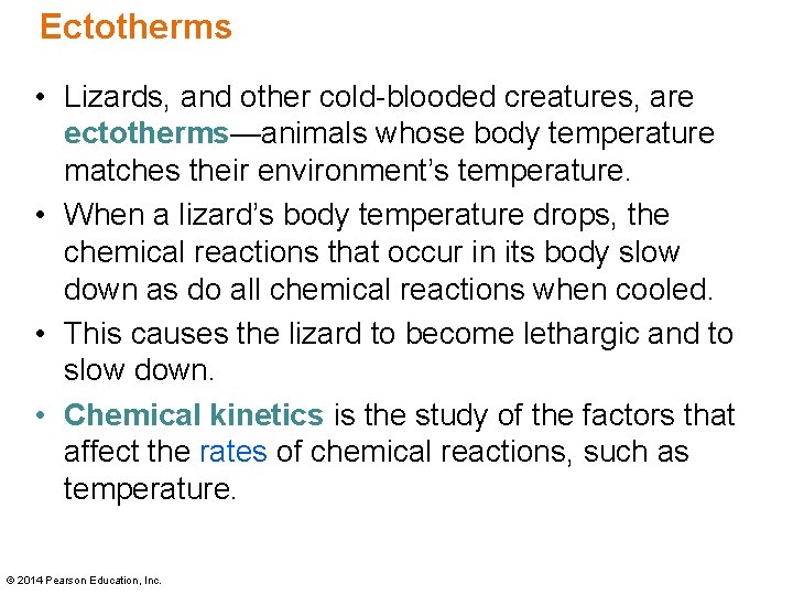 Ectotherms • Lizards, and other cold-blooded creatures, are ectotherms—animals whose body temperature matches their Ectotherms • Lizards, and other cold-blooded creatures, are ectotherms—animals whose body temperature matches their