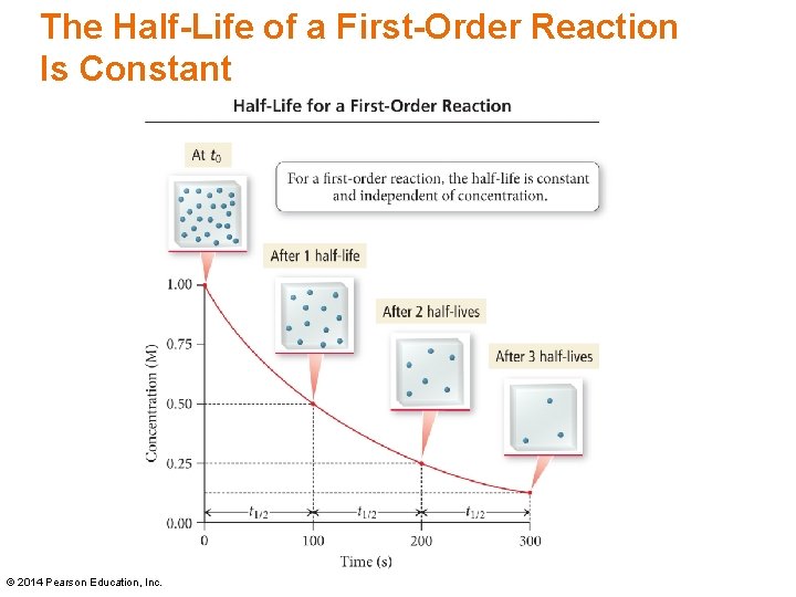 The Half-Life of a First-Order Reaction Is Constant Insert Figure 13. 11 © 2014 The Half-Life of a First-Order Reaction Is Constant Insert Figure 13. 11 © 2014