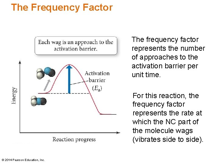 The Frequency Factor The frequency factor represents the number of approaches to the activation The Frequency Factor The frequency factor represents the number of approaches to the activation