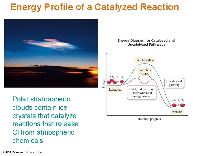 Energy Profile of a Catalyzed Reaction Polar stratospheric clouds contain ice crystals that catalyze Energy Profile of a Catalyzed Reaction Polar stratospheric clouds contain ice crystals that catalyze