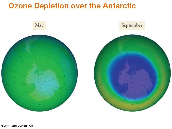 Ozone Depletion over the Antarctic Figure 13. 19 pg 630 © 2014 Pearson Education, Ozone Depletion over the Antarctic Figure 13. 19 pg 630 © 2014 Pearson Education,