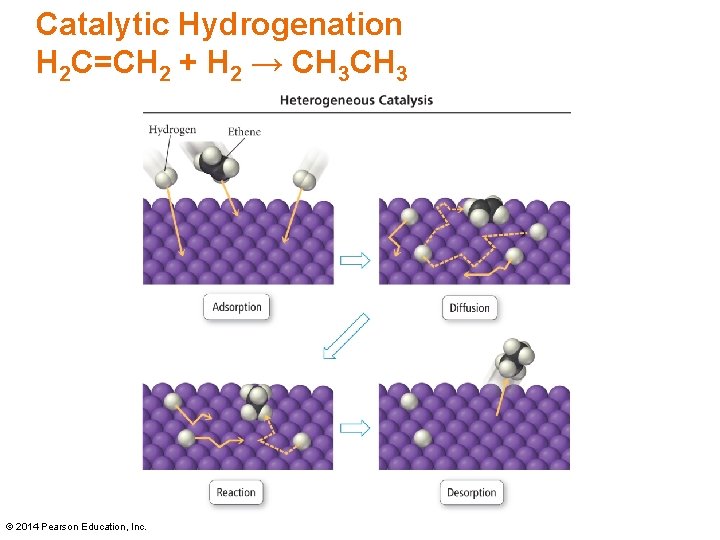 Catalytic Hydrogenation H 2 C=CH 2 + H 2 → CH 3 © 2014 Catalytic Hydrogenation H 2 C=CH 2 + H 2 → CH 3 © 2014