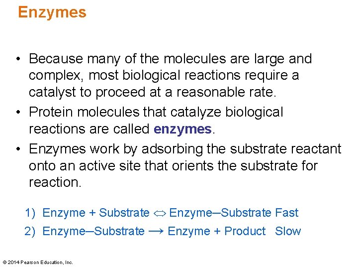 Enzymes • Because many of the molecules are large and complex, most biological reactions Enzymes • Because many of the molecules are large and complex, most biological reactions