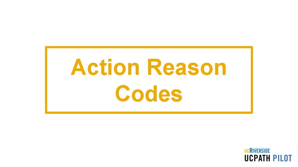 Action Reason Codes 