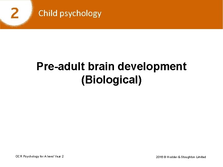 Child psychology Pre-adult brain development (Biological) OCR Psychology for A level Year 2 2016