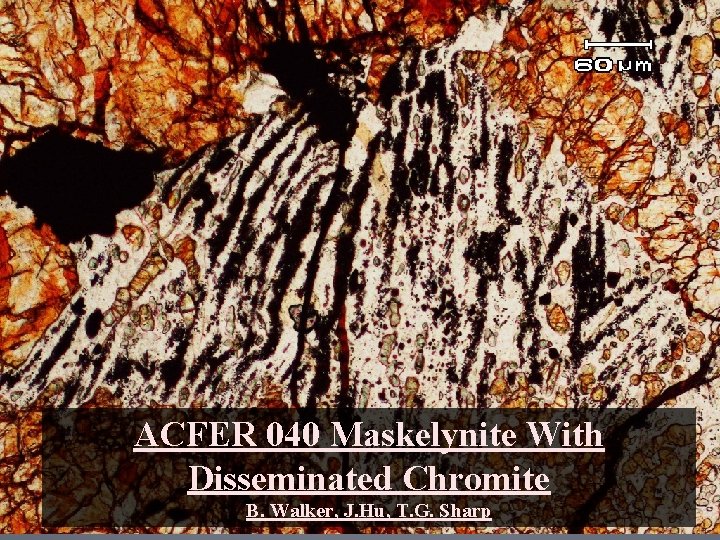ACFER 040 Maskelynite With Disseminated Chromite B. Walker, J. Hu, T. G. Sharp 