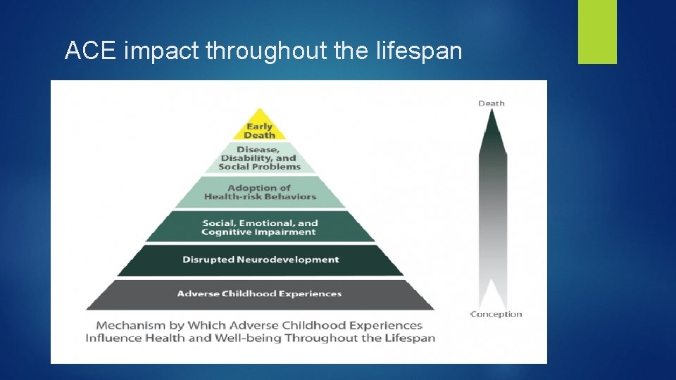 ACE impact throughout the lifespan 