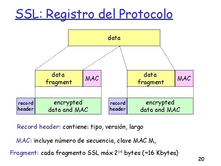 SSL: Registro del Protocolo data fragment record header data fragment MAC encrypted data and