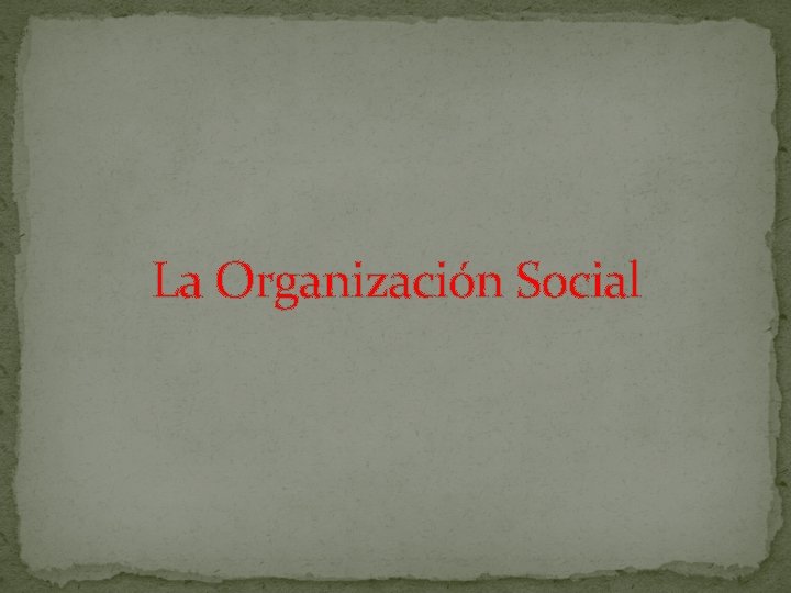 La Organización Social 