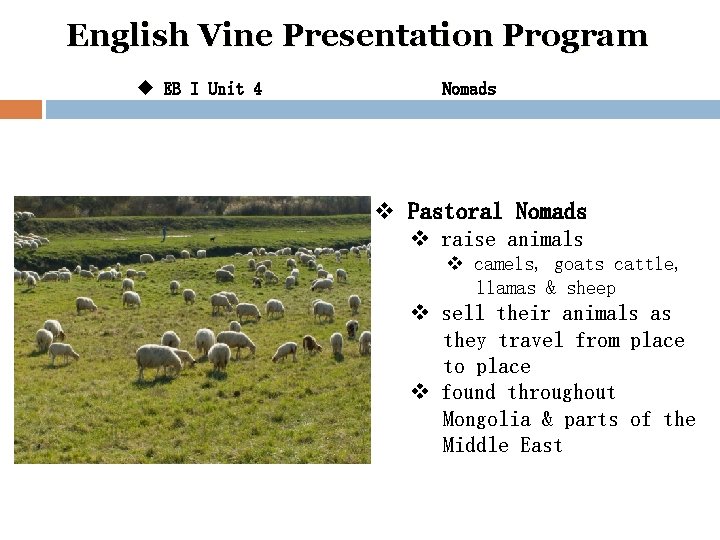English Vine Presentation Program u EB I Unit 4 Nomads v Pastoral Nomads v