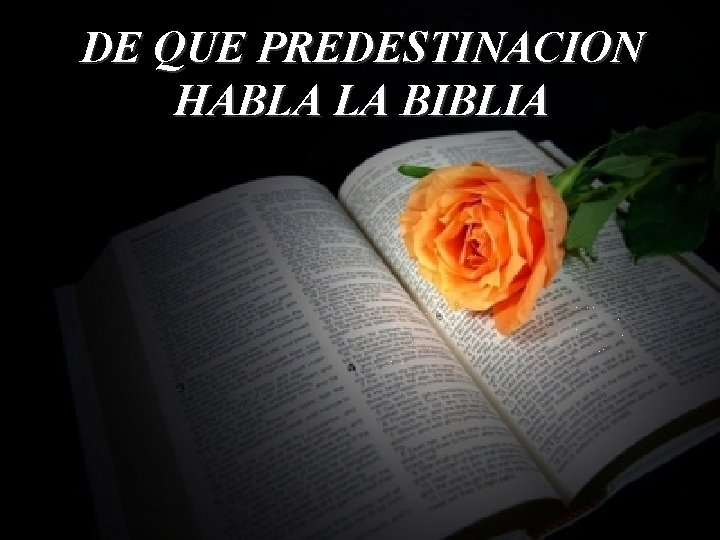 DE QUE PREDESTINACION HABLA LA BIBLIA 