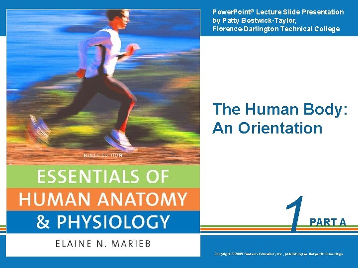 Power. Point® Lecture Slide Presentation by Patty Bostwick-Taylor, Florence-Darlington Technical College The Human Body: