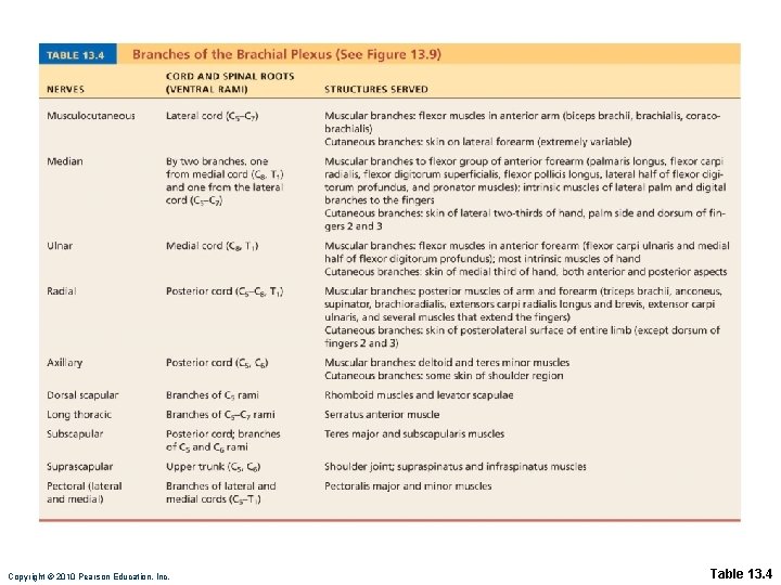 Copyright © 2010 Pearson Education, Inc. Table 13. 4 