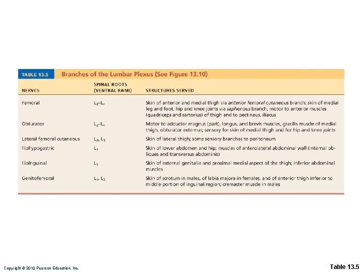 Copyright © 2010 Pearson Education, Inc. Table 13. 5 