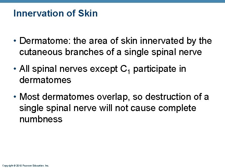 Innervation of Skin • Dermatome: the area of skin innervated by the cutaneous branches