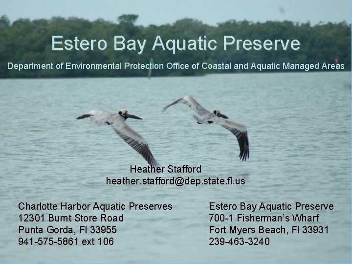 Estero Bay Aquatic Preserve Department of Environmental Protection Office of Coastal and Aquatic Managed